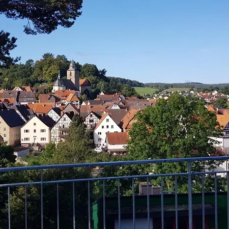 Schwalbenflug 나움부르크