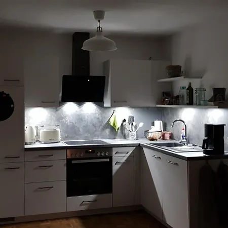 Schwalbenflug 나움부르크