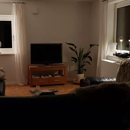 Schwalbenflug * 나움부르크