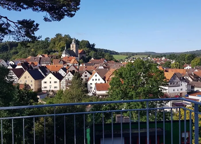 Schwalbenflug 萨勒河畔瑙姆堡