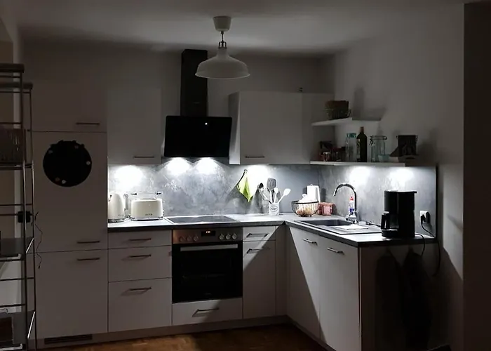 Schwalbenflug 萨勒河畔瑙姆堡