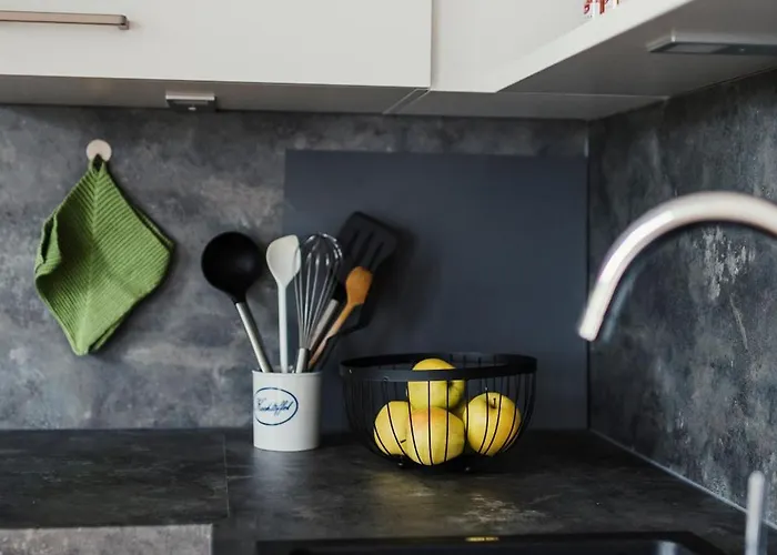 公寓 Schwalbenflug 萨勒河畔瑙姆堡