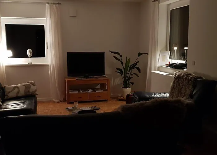 Schwalbenflug * 萨勒河畔瑙姆堡